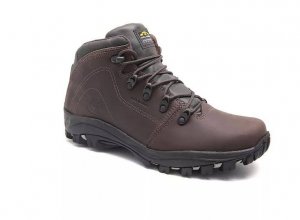 BOTA BULL TERRIER FOX TERRIER II BURNET 37