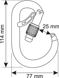 Mosquetão Camp CORE BELAY LOCK
