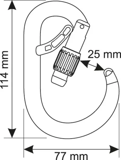 Mosquetão Camp CORE BELAY LOCK